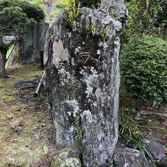 庭石　引き取っていただけませんか③の画像