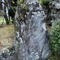 庭石　引き取っていただけませんか③
