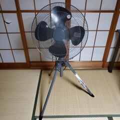 家電 季節、空調家電 扇風機