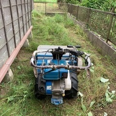 植木の刈込み、草刈り承ります。⭐️仮払、チェーンソー等の講習終了証を保持しております。 − 千葉県