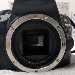 Canon/キャノン EOS Kiss X7 ダブルズームキットの画像