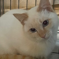 生後3か月くらいの綺麗な男の子