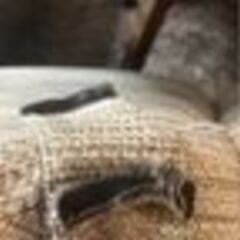 ダイニングテーブル　椅子　セットの画像