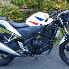CBR250R　MC41　ネイキッド仕様　(No.2150)