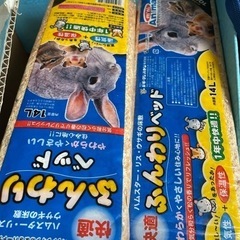 ペット用品
の画像