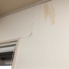 先日の雨大丈夫ですか？