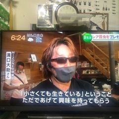 7月14日　MIZONKO倶楽部　クワガタ相撲＆即売会
