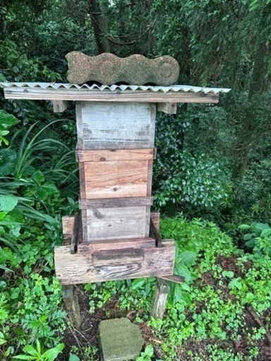 値下げ可
日本ミツバチ重箱群入り、横箱群れ入り