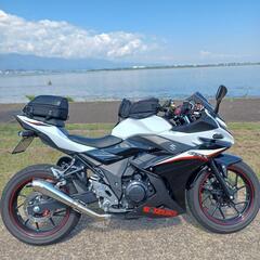 GSX250R用スリップオンマフラーの画像