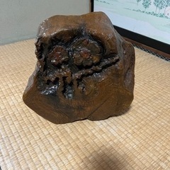 生活雑貨 家庭用品 ガーデニング