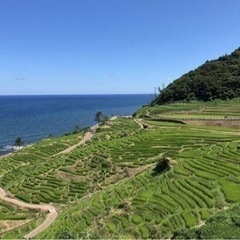 石川県復興支援
