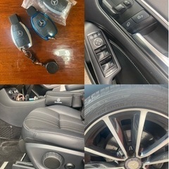 ブルーエフィジェンシーの画像
