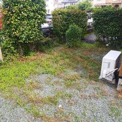 草刈り、庭清掃