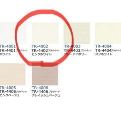 TOSO トーソー ルノプレーン ロールスクリーン TR4002 ウォッシャブルの画像