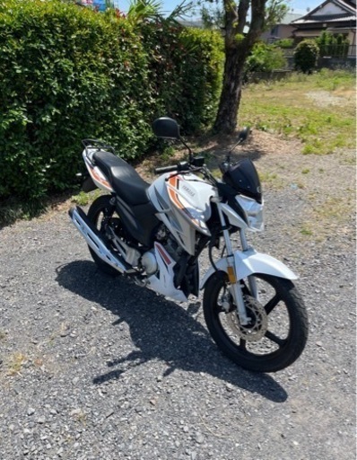 808.動画あり　ヤマハ　YX125  超低走行　小型　バイク　125cc  車体