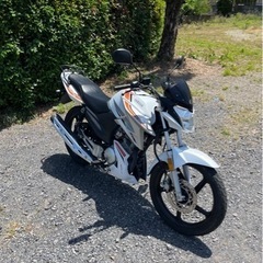 808.動画あり　ヤマハ　YX125  超低走行　小型　バイク　125cc  車体の画像
