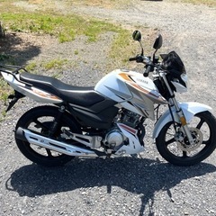 808.動画あり　ヤマハ　YX125  超低走行　小型　バイク　125cc  車体の画像
