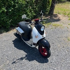810.動画あり　ヤマハ　ビーノ　高年式　SA54J 原付　バイク　50cc   車体の画像
