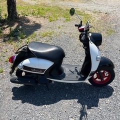 810.動画あり　ヤマハ　ビーノ　高年式　SA54J 原付　バイク　50cc   車体の画像