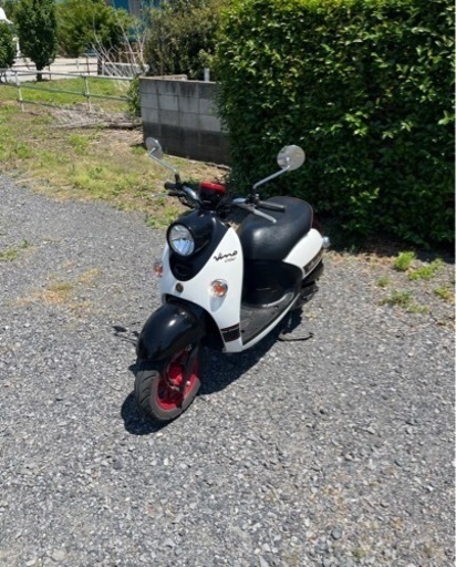 810.動画あり　ヤマハ　ビーノ　高年式　SA54J 原付　バイク　50cc   車体