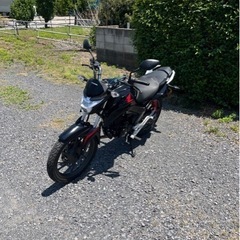 811.動画あり　ホンダ CBF125R 低走行 小型　バイク　125cc  車体　埼玉の画像