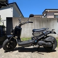 ZOOMER Honda 

