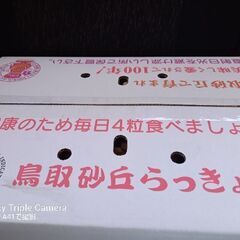 砂丘らっきょう10キロ