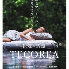 KOHYOHLIFE TECOREA テコリア 多機能 マットレス 高反発 送風モード付 通気性 吸湿 除湿 通風 温風 蒸れない 白 ホワイト 10層構造 (厚さ 6cm, シングル)の画像