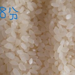 引き取り限定　福岡県/中古品 ホソカワ 玄米専用 精米機 R351E　15kg/簡易通電・精米確認済み・中古品・現状渡し/本体のみの画像