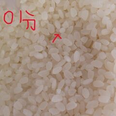 引き取り限定　福岡県/中古品 ホソカワ 玄米専用 精米機 R351E　15kg/簡易通電・精米確認済み・中古品・現状渡し/本体のみの画像