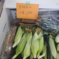 お野菜販売中