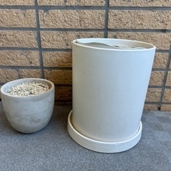観葉植物の小500円、大1,500円ガーデニング