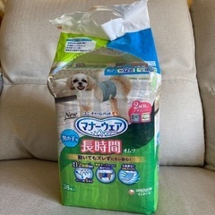 ペット用品  犬  マナーウェア 男の子用
