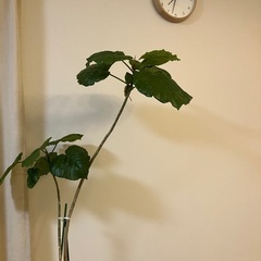 まったりお茶したり出来るママさんなど出会いたいです★