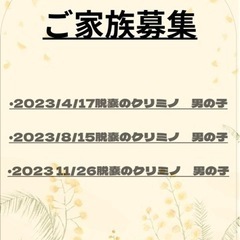 フクロモモンガ
