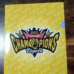 甲子園　交流戦　一緒に行ける方