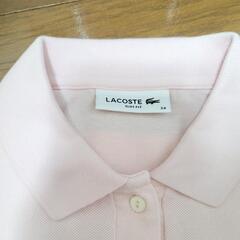 【LACOSTE】　ワンピース　ラコステ　ミニ丈　ポロワンピ　の画像