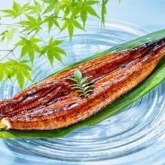 【北区王子】うなぎのつかみ取り体験｜2024年7月14日(日) - 北区