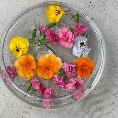 家具 インテリア雑貨/小物 置物、オブジェ