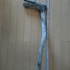 流木２つの画像