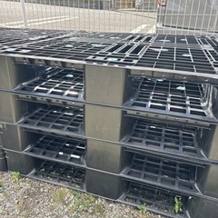 プラパレットお得！の画像