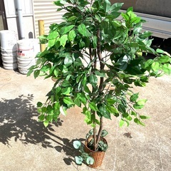 フェイクグリーン　観葉植物　高さ約150cm 程　
