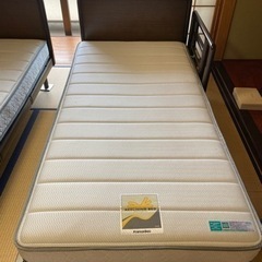 値引き　介護用　電動フランスベッド　シングル