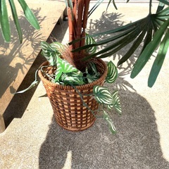 フェイクグリーン　観葉植物　高さ約106cm 程の画像