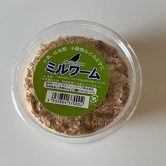 ミルワーム1パック