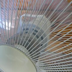 おおたけ eeemo 扇風機 EF-315T 2015年製 中古の画像
