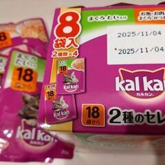 カルカン18歳から2種セレクション15p