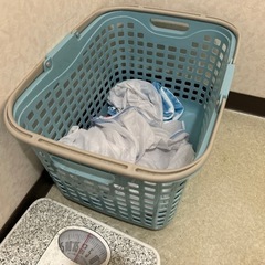 生活雑貨 洗濯用品 ランドリーバスケット
