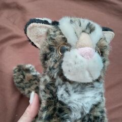 ぬいぐるみ　猫