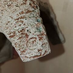 爬虫類、両生類シェルター　GEX製品の画像